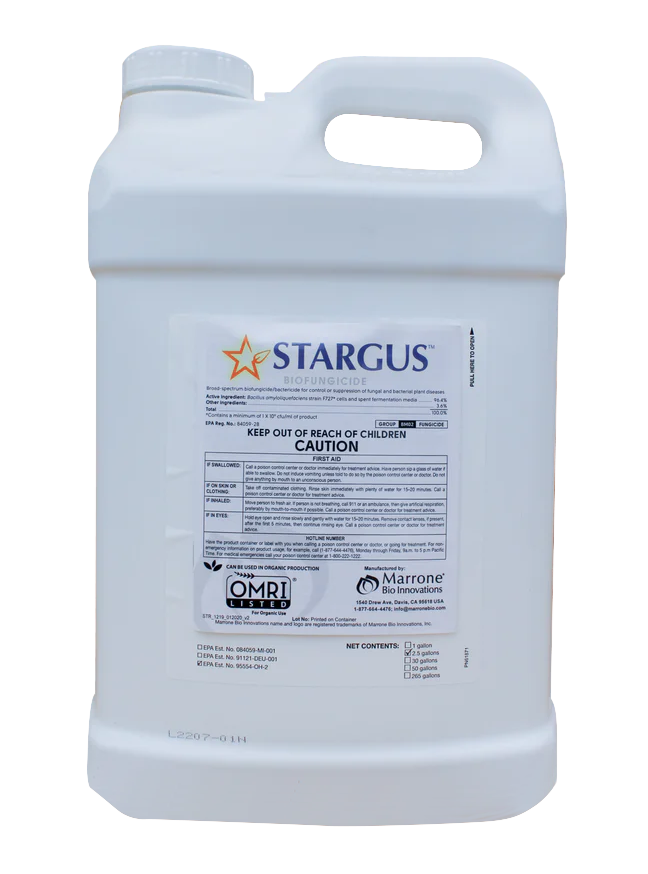 Stargus