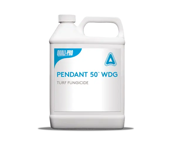 Pendant 50 WDG