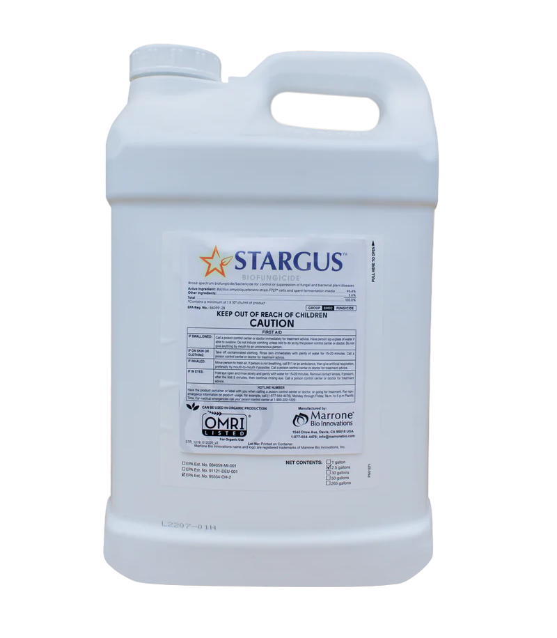 Stargus