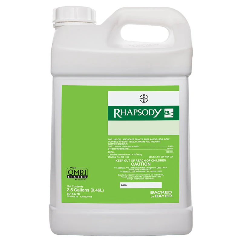 Rhapsody