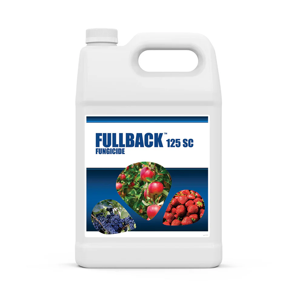 Fullback 125 Sc