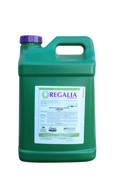Regalia
