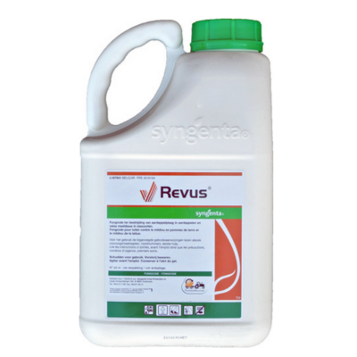 Revus