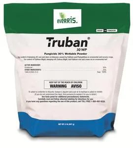 Truban WP