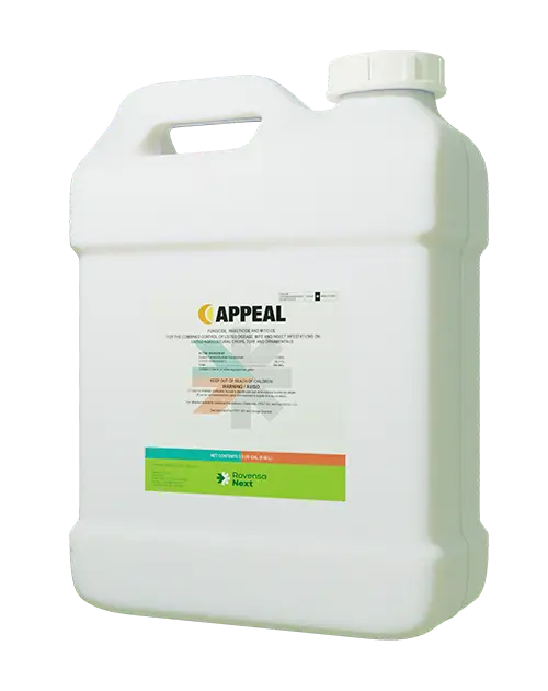 Appeal
