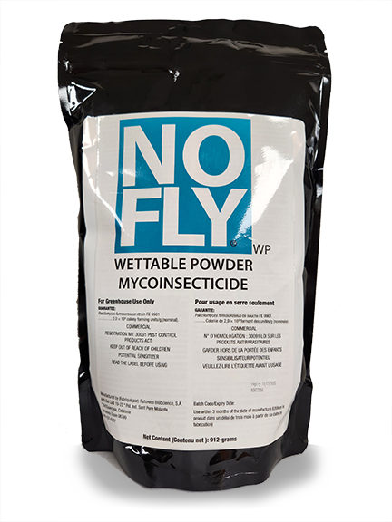 NoFly
