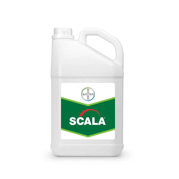 Scala SC